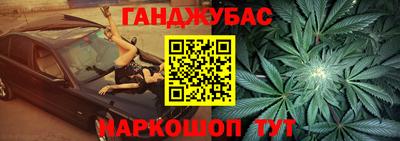 крисы Дубна