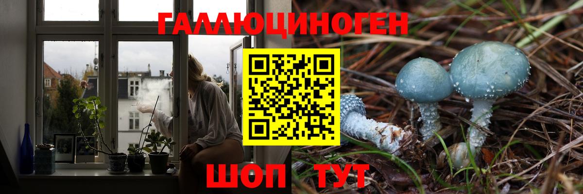 Псилоцибиновые грибы ЛСД  Галлюциногенные грибы Cubensis  Вход с VPN  Усть-Джегута 